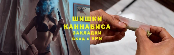 гашик Лабытнанги