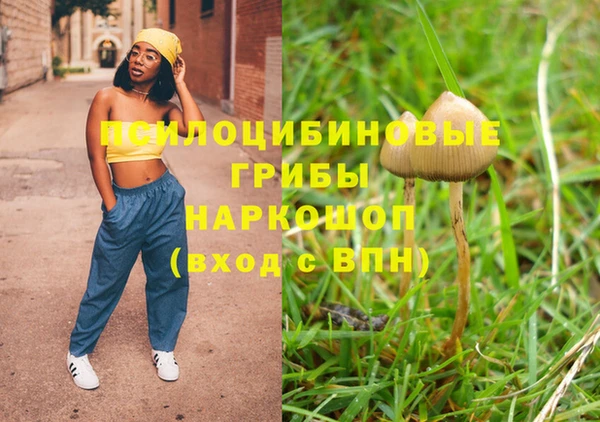 гашик Лабытнанги