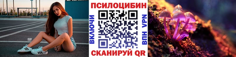 Купить где  Волжский  Галлюциногенные грибы GOLDEN TEACHER 